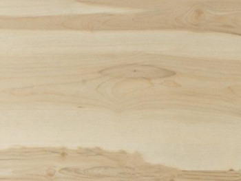 Piso Laminado Clicado Linha New Elegance - Eucafloor - Marfim Grace - 7mm - m²***